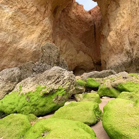 Ceu E Mar